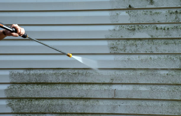 Best Pressure Washing Company Near Me  in Patrick Springs, VA